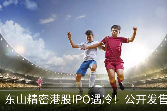 东山精密港股IPO遇冷！公开发售不足一倍，散户100%中签，前日暗盘收跌7.43%