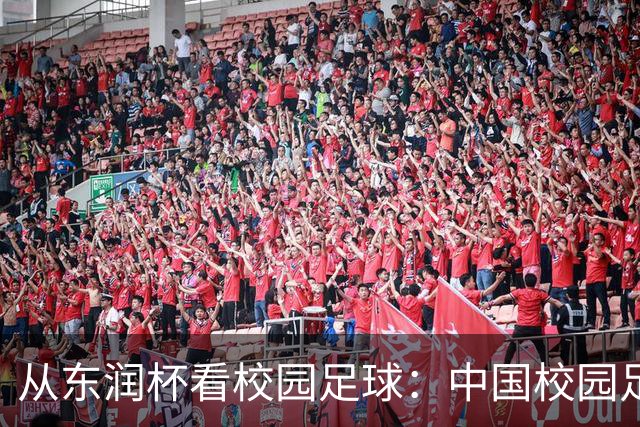 从东润杯看校园足球：中国校园足球需要怎样的比赛