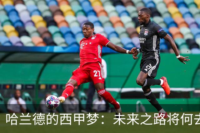 哈兰德的西甲梦：未来之路将何去何从？