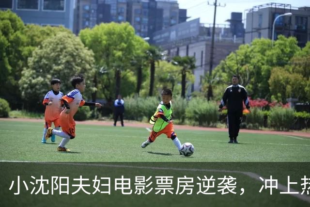 小沈阳夫妇电影票房逆袭，冲上热搜！其票房已达1.4亿元，预测票房超3亿元