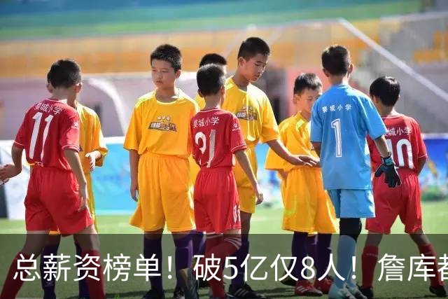 总薪资榜单！破5亿仅8人！詹库都不够！谁高谁低了？