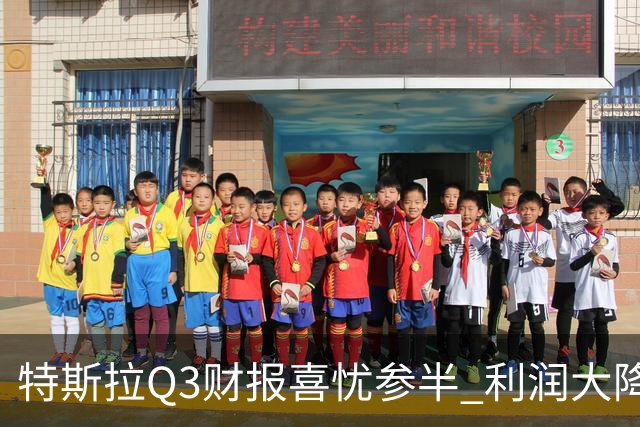 特斯拉Q3财报喜忧参半 利润大降56% 马斯克立下flag：2030年年产500万辆