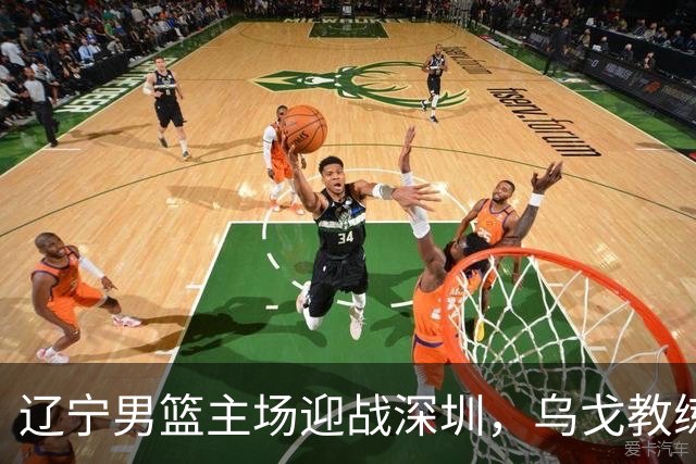 辽宁男篮主场迎战深圳，乌戈教练手携四大利好冲击连胜