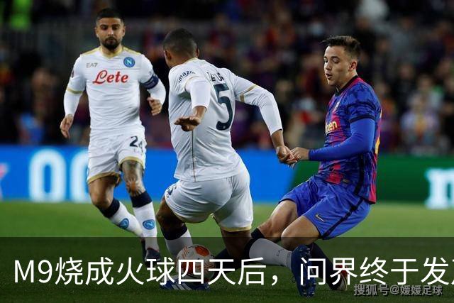 M9烧成火球四天后，问界终于发声了